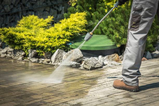 Professional Pressure Washing Services in Harlingen, TX